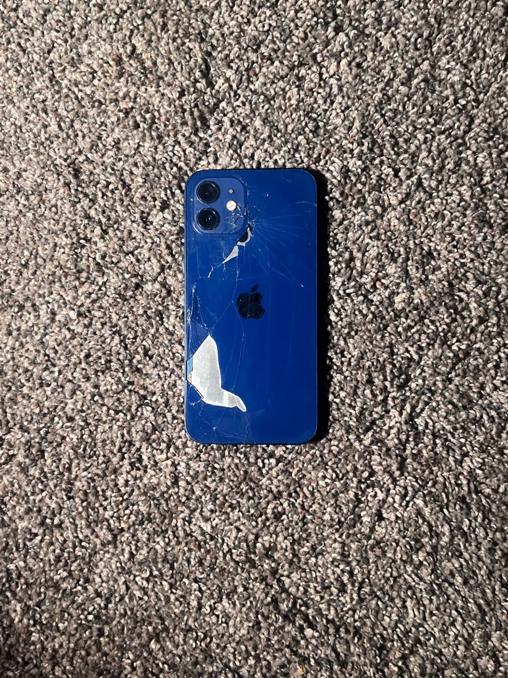 Apple iPhone 12 Unlocked (Broken Back Glass, Face ID, Charging Port)